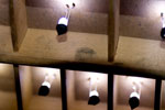 Type Case