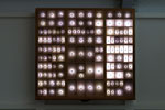 Type Case
